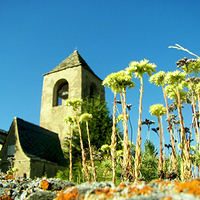 Photo de France - La région de Vernet-les-Bains